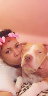 Ex-girlfriend brought pitbulls to workplace after breakup