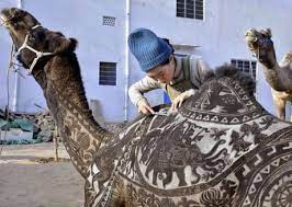 And each hump can store up to 36 kilograms of it that can sustain the camel for weeks or even months. This Camel Getting A Haircut 9gag