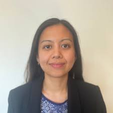 Climate Accountability API