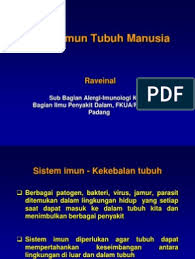 Garis pertahanan ini sangat tergantung pada proses fagositosis, yaitu proses penelaan mikroba yang menyerang tubuh oleh jenis leukosit tertentu. Soal Dan Jawaban Sistem Imun Kherysuryawan Id