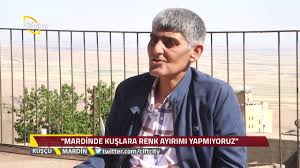 Kuscu Mardin Oyun Guvercin Irklari Youtube