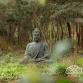 The Wisdom Path Retreat