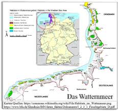 Entdecken sie das wattenmeer und seine nationalparks, seit juni 2009 zum unesco weltnaturerbe ernannt. Mit Der Pferdekutsche Durch Das Wattenmeer Reisetagebuch Der Travelmause