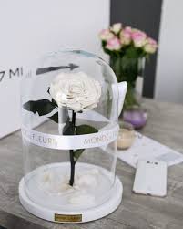 Inspiriert Vom Disney Klassiker Die Schone Und Das Biest Ist Unsere La Belle Eine Besondere Geschenkide Die Schone Und Das Biest Rosen Im Glas Haltbare Rosen
