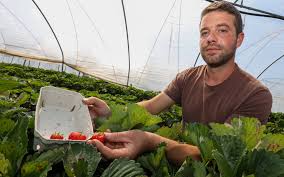 @OFBackup3s video Tweet- viral Hailey Sigmond sex tape update!