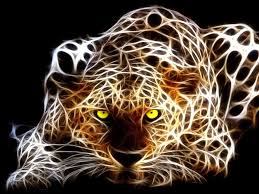 Image result for 3d hd wallpapers