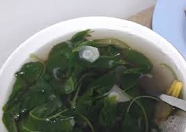 Saat ini aku setor minuman simple nya mba ade dlu. Langkah Mengolah Sayur Bayam Sederhana Pakai Kunci Sedap Resep Us