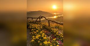 Obituary information for Daniel P Allshouse