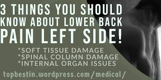 Find out how to identify your lower back pain to see if its something more serious. 3 Things About Lower Back Pain Left Side You Must Know Top Best In