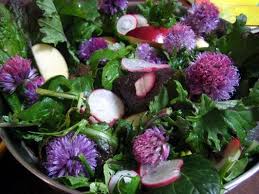 Pin On Pretty Food