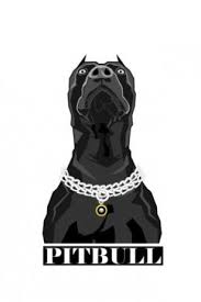 Pitbull Wallpapers For Android Pitbull Art Pitbull Wallpaper Pitbulls
