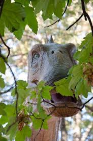 We did not find results for: Diplodocus Eating Green Leaves Dinosaur In The Park Brachiosaurus Stock Photo Picture And Royalty Free Image Image 158692940