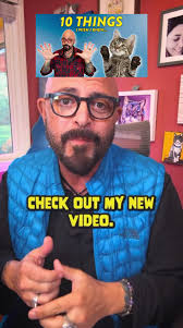 Essential Cat Care Tips: Learn from My 30 Years of Experience