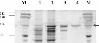 4 月 26 日 ， 省应急管理厅党委理论学习中心组开展第六次（扩大）学习研讨，深入学习习近平总书记关于应急管理、安全生产、防范化解重大风险重要论述 ， 厅党委书记、厅长李大剑主持. 2