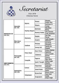 secretariat pedigree chart pedigree chart horse racing