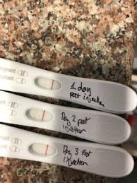 How Soon Can You Take A Pregnancy Test After Pregnyl 1500 Pregnancy Test Work