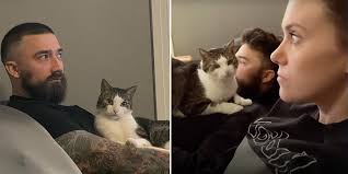 Cat Named Roswell Steals Rescuer's Man 'Til She Finds the 'Cheat Code'