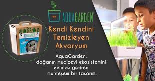 Aquagarden Akvaryum Jpg 560 300 Akvaryum Tasarim