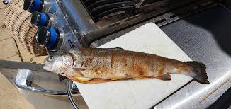 Maybe you would like to learn more about one of these? Lachsforelle Von Der Planke Mit Sous Vide Spargel Und Zucchini Vom Grill Grillforum Und Bbq Www Grillsportverein De