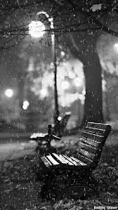 Black And White Bench Park Bench In Black And White