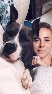 Meet Fall River Forever Paws Pet of the Week Eclair! Aside from playtime,  she likes high perches where she can sit and survey her kingdom like the  queen she is.