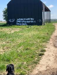 I walk past this old black barn regularly