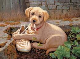 Missing Shoe Ii Yellow Lab Puppy Painting By Jim Lamb Dog Art Yellow Lab Puppy Dog Drawing