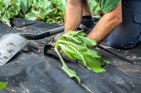 It is a black mesh type of plastic that is used extensively in this is how landscape fabric is advertised to work. 7 Best Weed Barriers Of 2020 Top Landscape Fabric Reviews