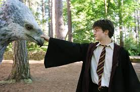The third film about the young wizard is the most controversial, for it was he who split the fans of the novels about potter into two warring parties: . Harry Potter Es Az Azkabani Fogoly