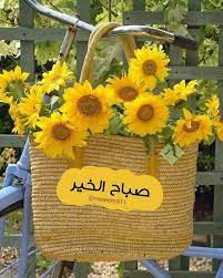 pin by نفحات من روائع المعرفة والفنون on صباحات good morning flowers good morning roses beautiful morning messages