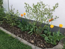 An der schmalsten stelle 5 m und der breitesten 15 m breit. Blumenbeet Lang Und Schmal Anlegen Schone Ideen Tipps Und Tricks