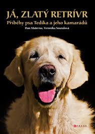 Image result for zlatý retrívr