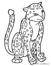 You should use this photograph for backgrounds on laptop or computer. Leopard Coloring Page More Jungle Animals Coloring Sheets On Hellokids Com Coloring Pages Leopard Drawing Animal Coloring Pages