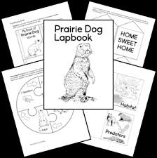 These animals increased the growth of the prairie by adding ni. Prairie Dogs Lapbook Homeschool Share