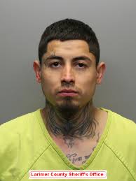 Larimer County Sheriff's...