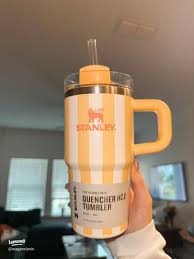 Vibrant New Stanley Cups for Summer Enthusiasts