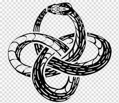 Book Symbol Ouroboros Serpent Drawing Snakes Line Art Celtic Knot Midgard Transparent Background Png Clipart Hiclipart Ouroboros is even more ancient symbol which traces are lost in time. book symbol ouroboros serpent