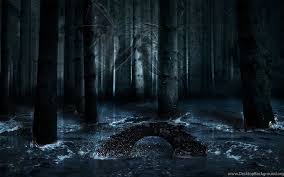 If you have your own one, just create an account on the website and upload a picture. Gallery For Dark Enchanted Forest Backgrounds Value Desktop Background