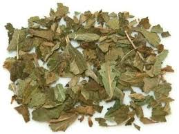 Image result for Lippia abyssinica