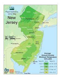 Find Your Usda Zone With These State Maps Planting Zones Map Gardening Zones Plant Hardiness Zone Map