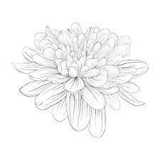 These are some of the most difficult coloring pages for adults. Nature Advanced Archives Kidspressmagazine Com