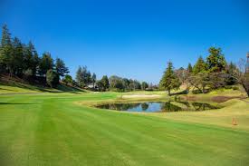 東京 電車 で 行ける ゴルフ 場