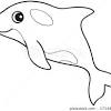 Home » beluga whale coloring page. 1
