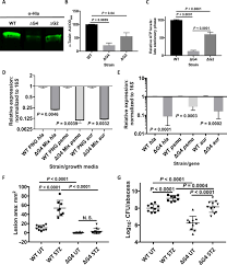 Lack of nutritional immunity in diabetic skin infections promotes  Staphylococcus aureus virulence