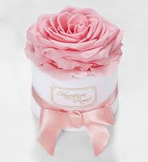 It offers a wide lavender garden bouquet with white roses, lavender daisy poms, peruvian lilies (alstroemeria) and www.1800flowers.com. Magnificent Roses Preserved Pink Rose 1800flowers Com
