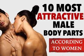 Home / male body reference. 10 Most Attractive Male Body Parts According To Women Romeo Man
