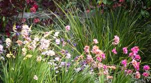 Set off plants with hardscaping. 6 Steps To A No Work Cottage Garden Hipages Com Au