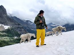 Back page of 422 next. You Ll Find Mountain Goats In The Most Scenic Places In Oregon And Southern Washington Oregonlive Com