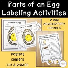 Dec 16, 2016 · access the latest resources on including fsis guidance information, the food standards and labeling policy book and policy memorandums, generic label approval, nutrition labeling information and other resource material regarding meat, poultry, and egg product labeling policies. Parts An Egg Worksheets Teaching Resources Teachers Pay Teachers