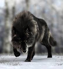 13 Seriously Real Wildlife Renders Life In 3d Area By Autodesk Wolf Dog Timber Wolf Wolf Spirit Animal